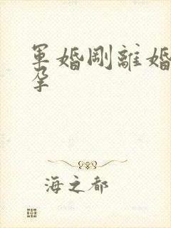 军婚刚离婚就怀孕