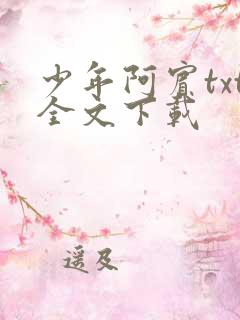 少年阿宾txt全文下载