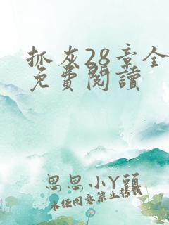 抓灰28章全部免费阅读