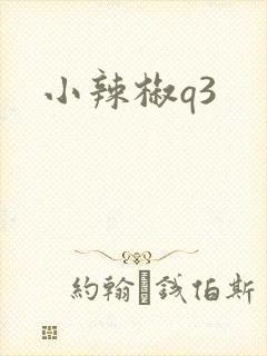 小辣椒q3