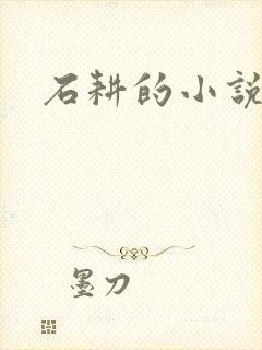 石耕的小说