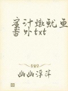 蜜汁炖鱿鱼全文番外txt