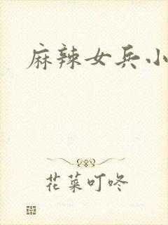 麻辣女兵小说版