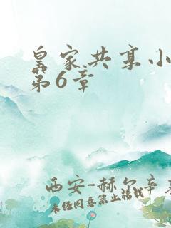 皇家共享小公主第6章