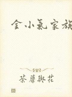 金小气家族小说