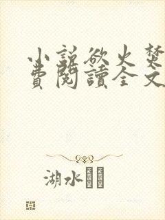 小说欲火焚烧免费阅读全文