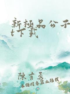 新极品公子txt下载