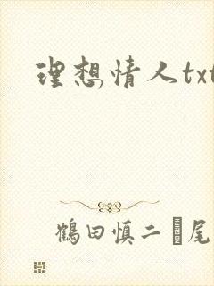 理想情人txt