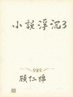 小说浮沉3