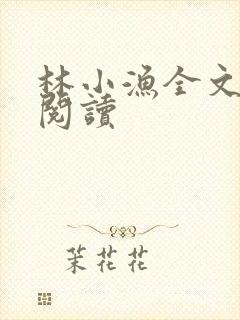 林小渔全文免费阅读