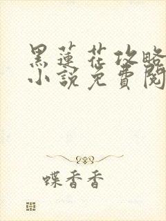 黑莲花攻略手册小说免费阅读全文