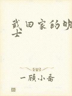 武田家的明国武士