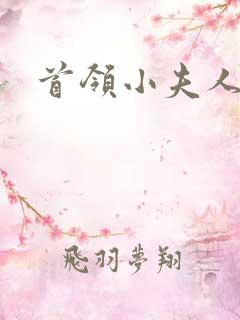 首领小夫人
