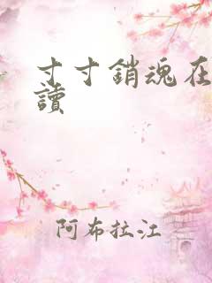 寸寸销魂在线阅读