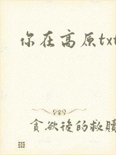 你在高原txt