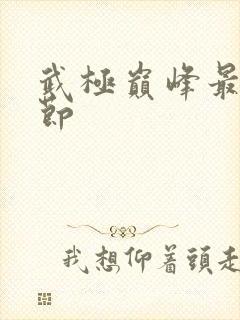 武极巅峰最新章节