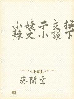 小婕子交换系列辣文小说下载