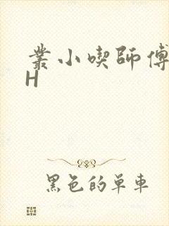 丛小吃师傅的HH