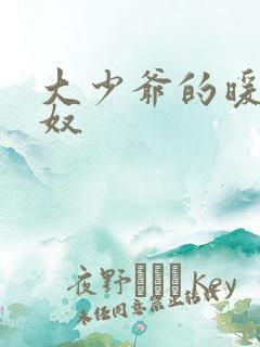 大少爷的暖床小奴