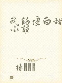 我的傻白甜老婆小说