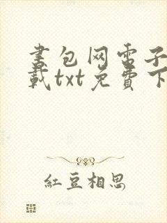 书包网电子书下载txt免费下载