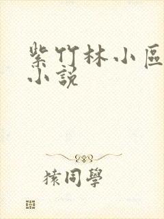 紫竹林小区快递小说