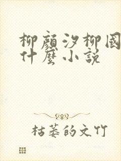 柳颜汐柳国安是什么小说