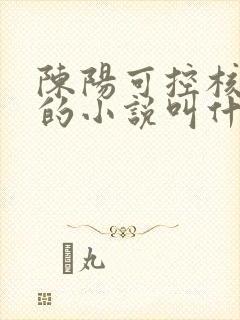 陈阳可控核聚变的小说叫什么名字