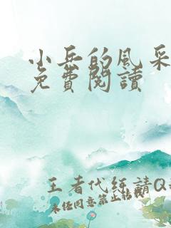 小兵的风采小说免费阅读