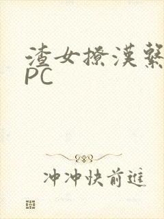 渣女撩汉系统NPC