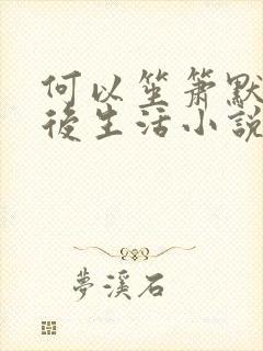 何以笙箫默之婚后生活小说
