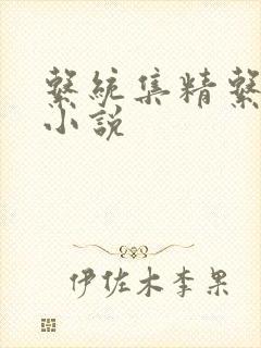 系统集精系统 小说