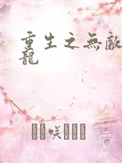 重生之无敌项少龙