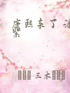 康熙来了 潘迎紫