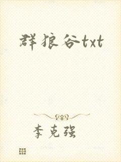 群狼谷txt