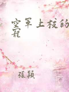 空军上校的邪魅宠