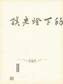 镁光灯下的孕夫