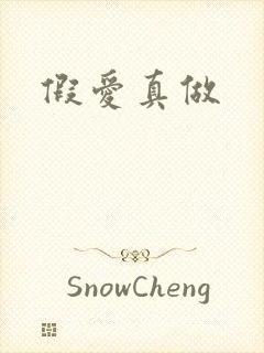 假爱真做