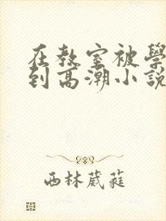 在教室被学长揉到高潮小说软件