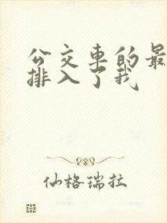 公交车的最后一排入了我