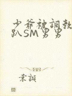 少爷被调教室跪趴SM男男