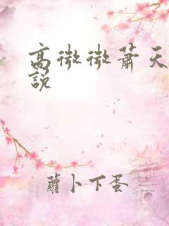 高微微萧天策小说