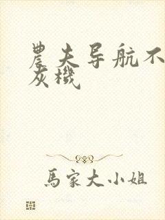 农夫导航不要打灰机