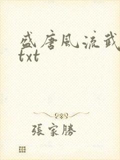 盛唐风流武状元txt