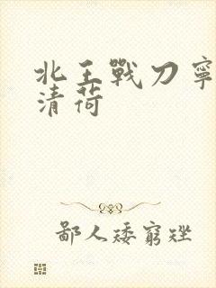 北王战刀宁北苏清荷