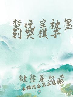 楚晚宁被墨燃做到哭棋子