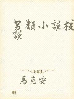 另类小说校园小说