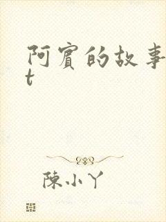 阿宾的故事txt