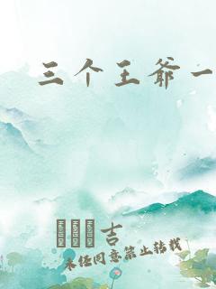 三个王爷一个妃