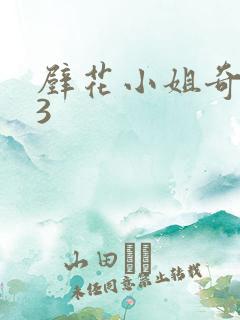 壁花小姐奇遇记3